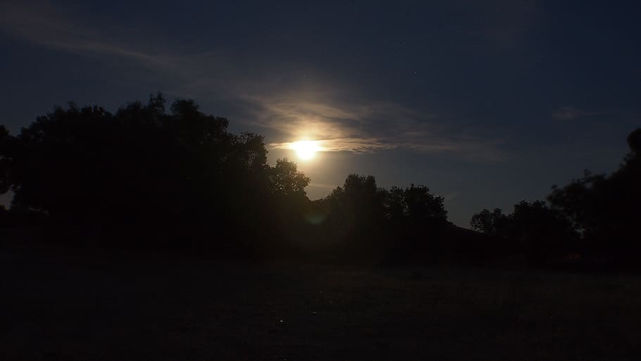 la adrada, blue moon, night, sky, tree, tranquility, beauty in nature HD wallpaper