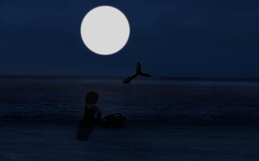 remix, whale, watch, moon, photoshop, girl, observing, night, HD wallpaper