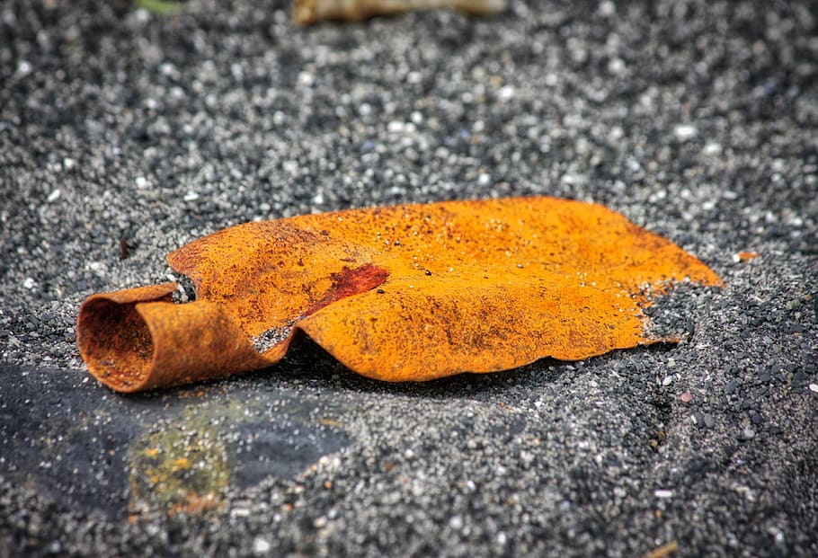 shovel, rust, old, aged, abandoned, city, no people, street HD wallpaper