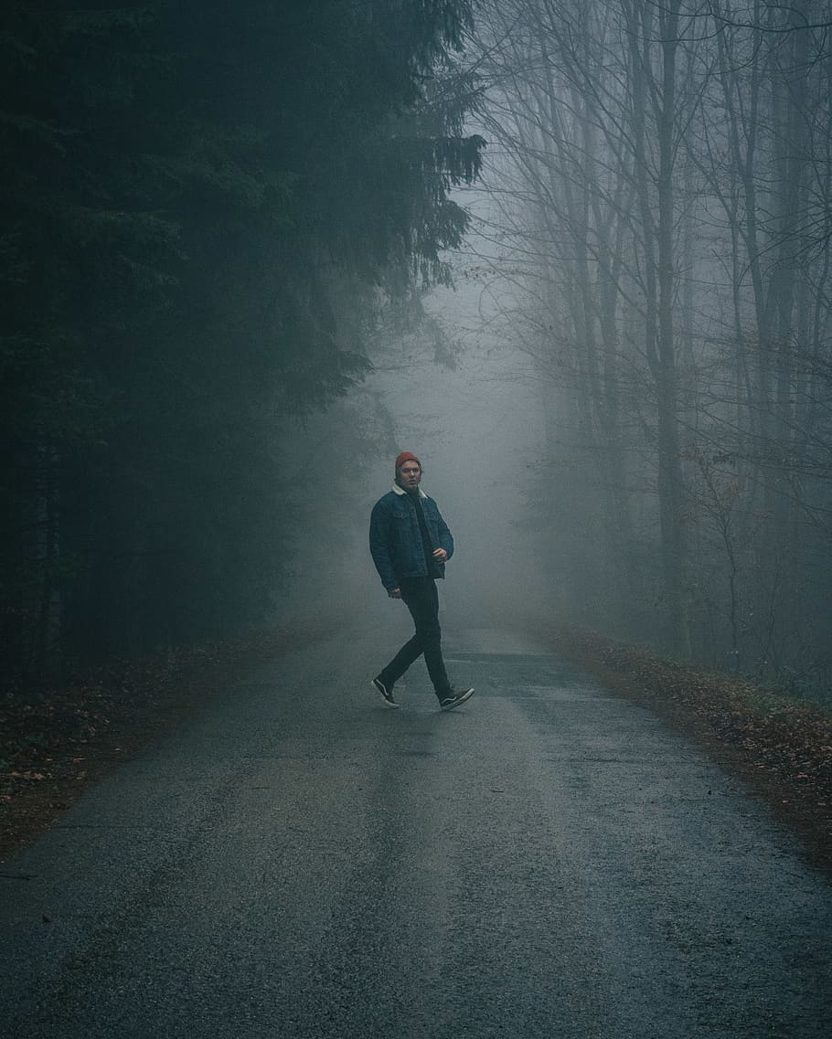 man wearing blue jacket standing on forest pathways, nature, person HD wallpaper