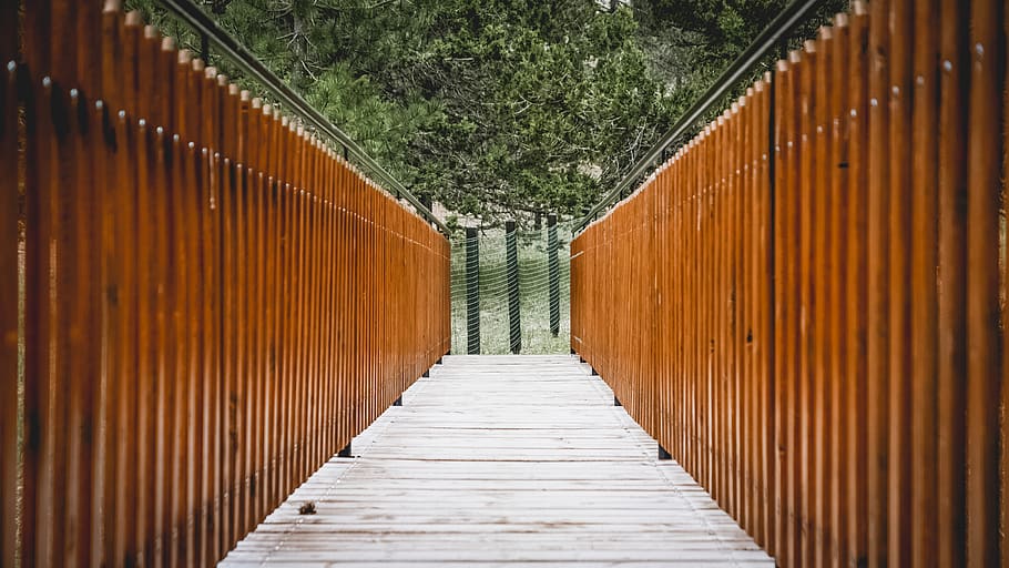 bridge, forest, tree, trees, nature, brown, green, center, middle HD wallpaper