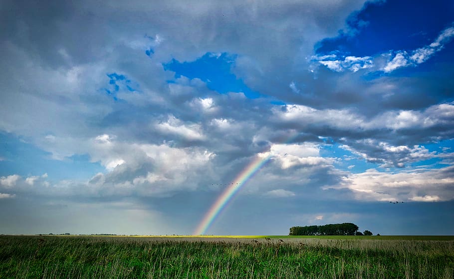 rainbow and sky, field, outdoors, nature, cloud, grass, landscape HD wallpaper