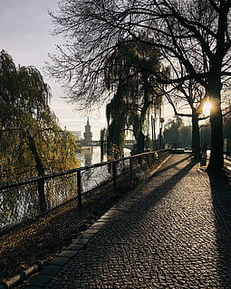 germany, berlin, may-ayim-ufer 2, fall, autumn, tree, kreuzberg HD wallpaper
