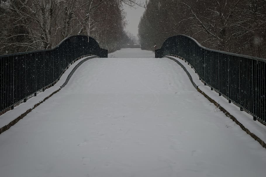 bridge, snow, winter, nature, trees, frost, outdoors, ice, cold temperature HD wallpaper