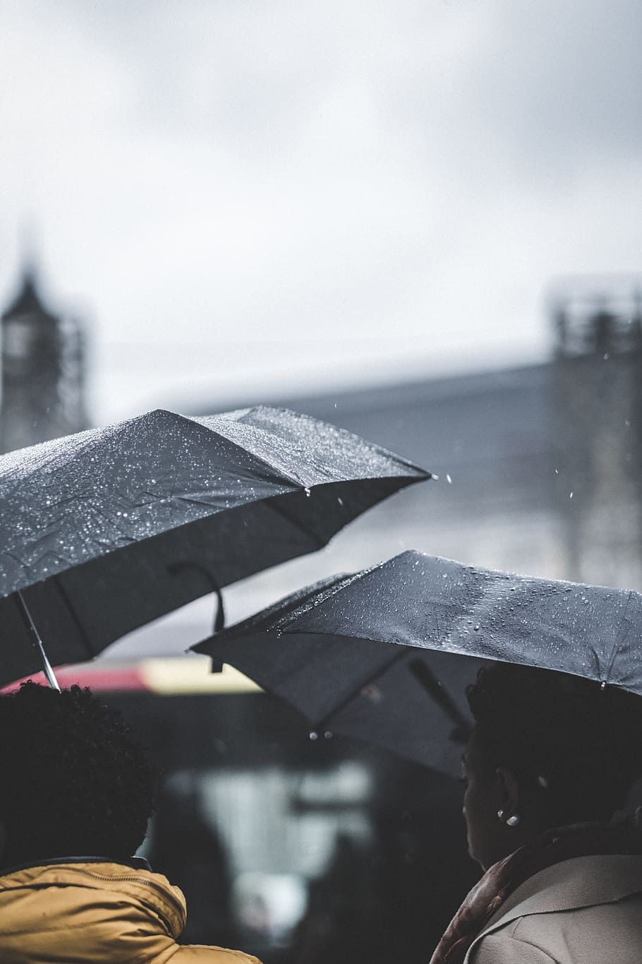 shallow focus photography of black umbrellas, person, rain, building