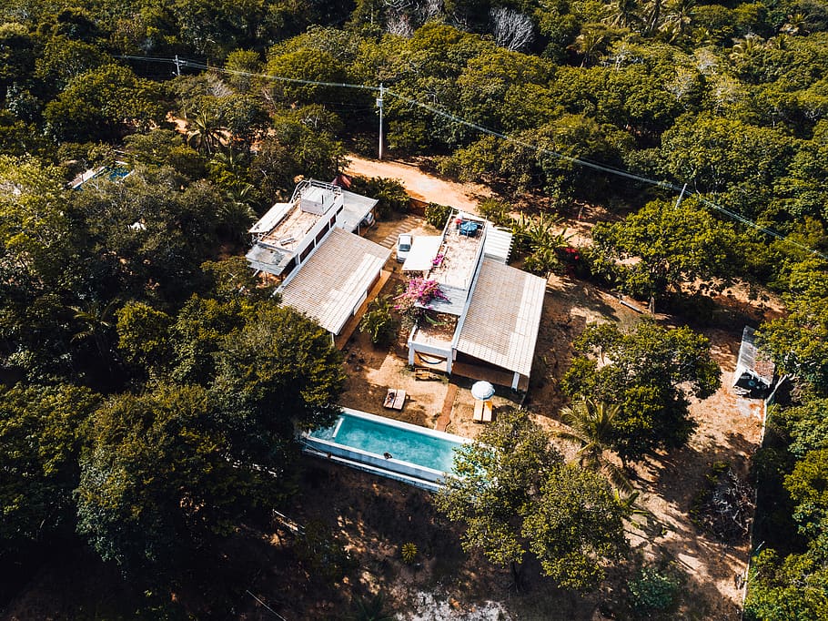 pool surrounded by trees, plant, high angle view, built structure HD wallpaper