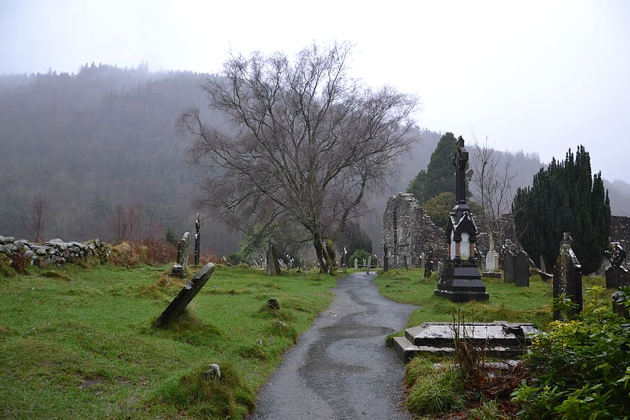 ireland, glendalough, grave, tree, rain, cemetery, fog, monastic