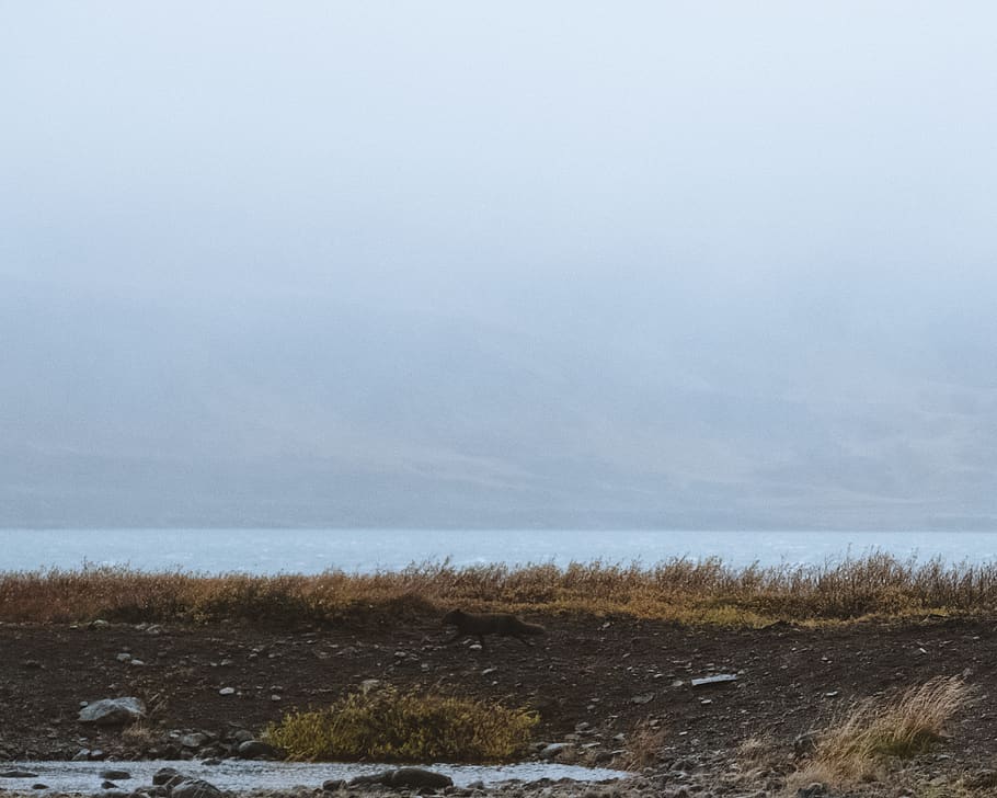 iceland, water, tranquility, scenics - nature, beauty in nature HD wallpaper