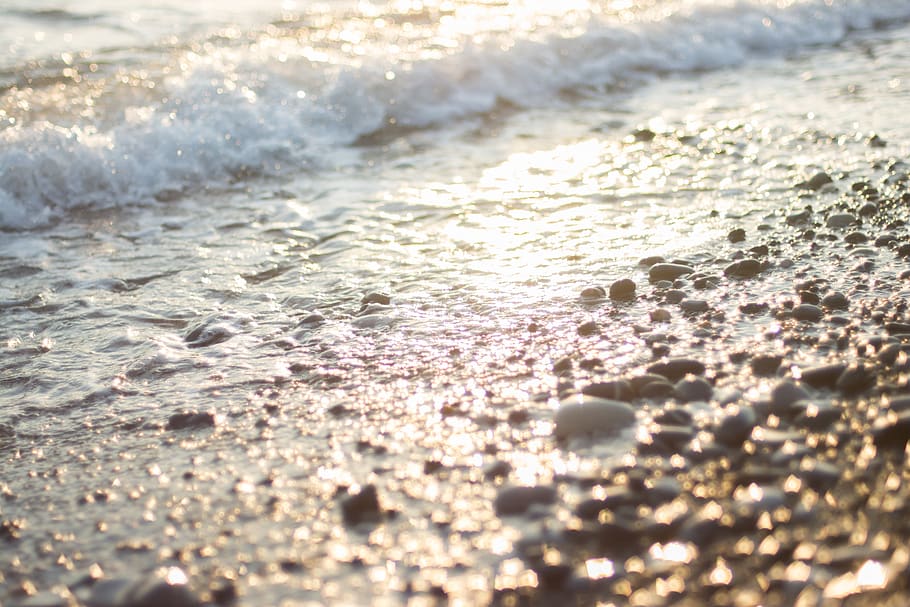 beach, sunset, sea, water, aquatic sport, wave, surfing, selective focus HD wallpaper