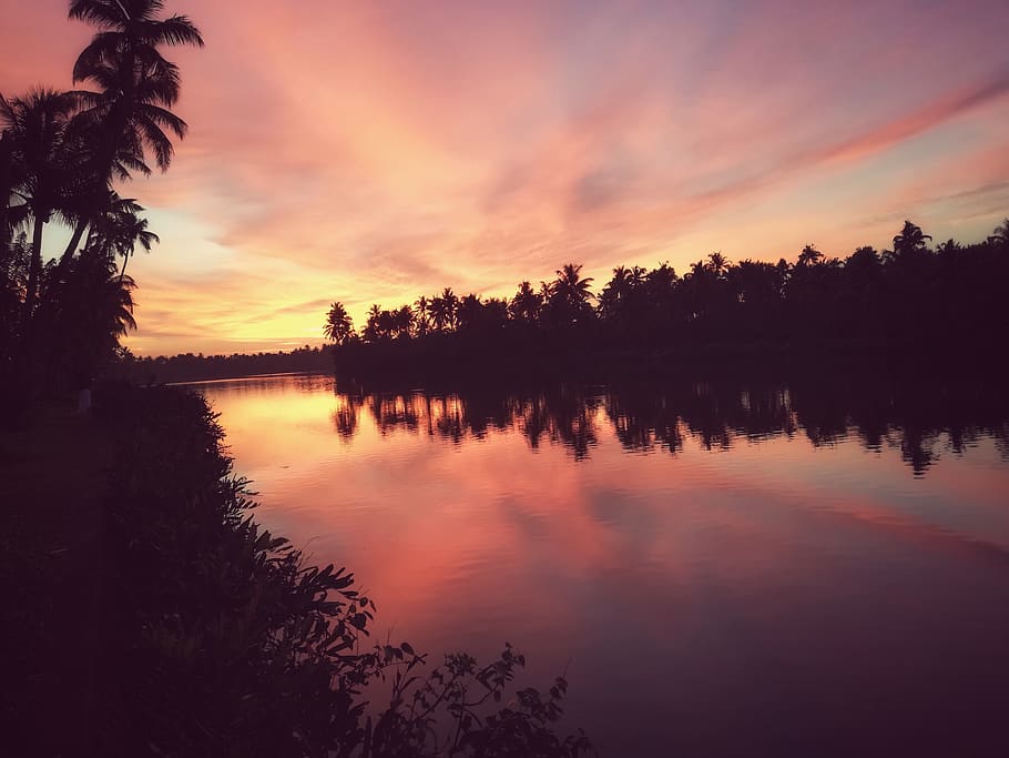 nature, outdoors, water, dusk, red sky, sunset, dawn, plant HD wallpaper