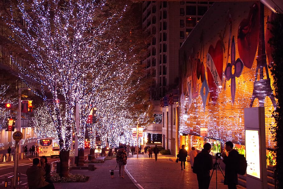 japan, tokyo, roppongi hills, christmas, illuminated, architecture, HD wallpaper