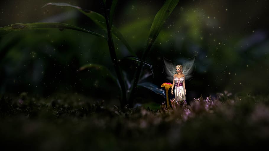 fantasy, fee, forest, moss, silent, fairytale, mysterious, magic HD wallpaper