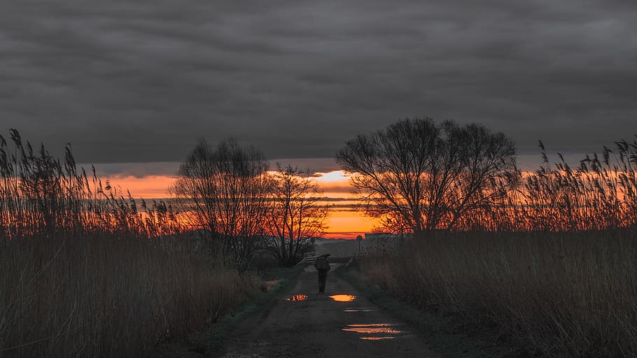alone, spring, sky, clouds, water, trees, sunrise, morning HD wallpaper