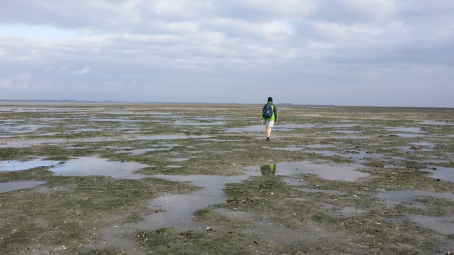 germany, nordstrand, water, cloud - sky, real people, one person HD wallpaper