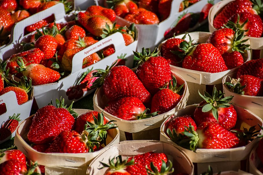 fruit, red, harvest, fruiting, edible, delicious, nutritious HD wallpaper