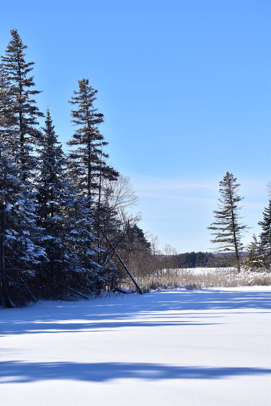 winter, nature, snow, cold, landscape, white, outdoors, trees HD wallpaper