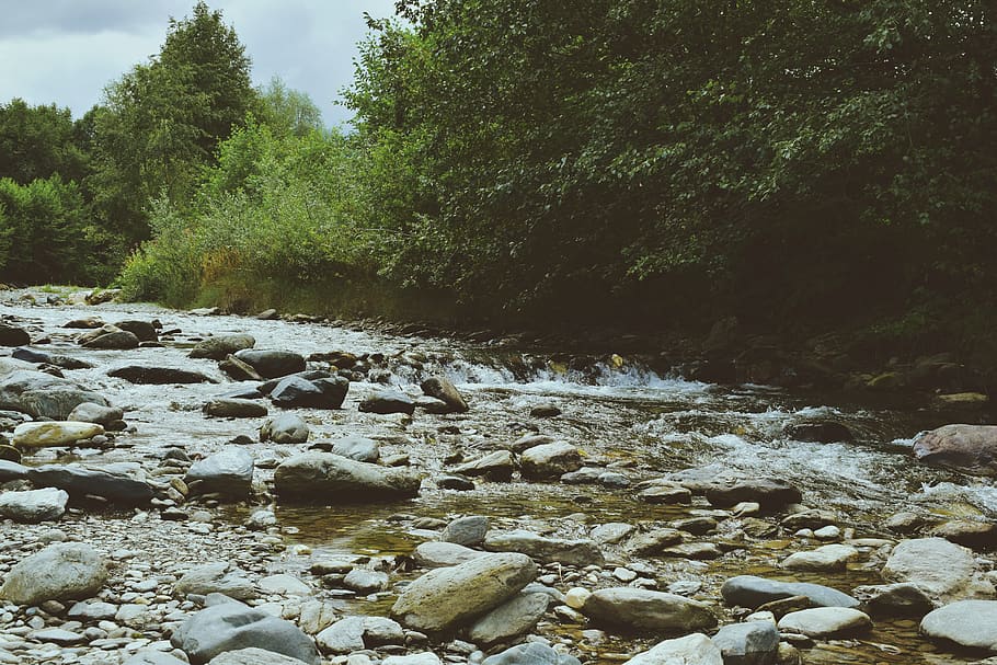 landscape, scenery, river, rocks, trees, upstream, nature, nature wallpapers HD wallpaper