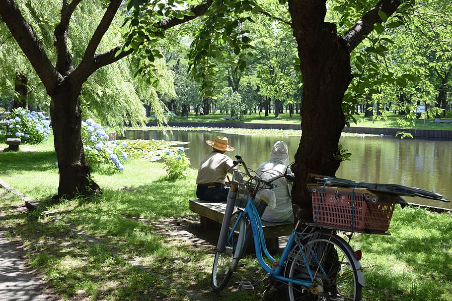 japan, aomori prefecture, lake, bicycle, green, street life, HD wallpaper