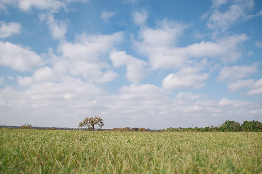 green field during daytime, cloud - sky, landscape, tranquility HD wallpaper