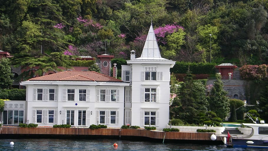 bosphorus, mansions, residences, life, istanbul, tree, built structure HD wallpaper
