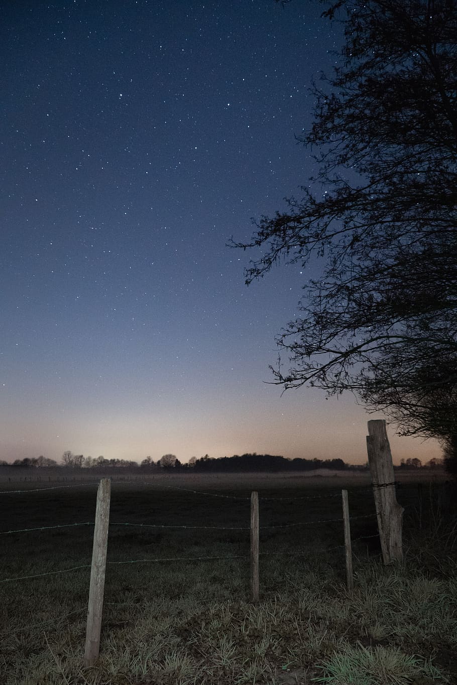 constellations, dark, environment, evening, fence, field, grass HD wallpaper