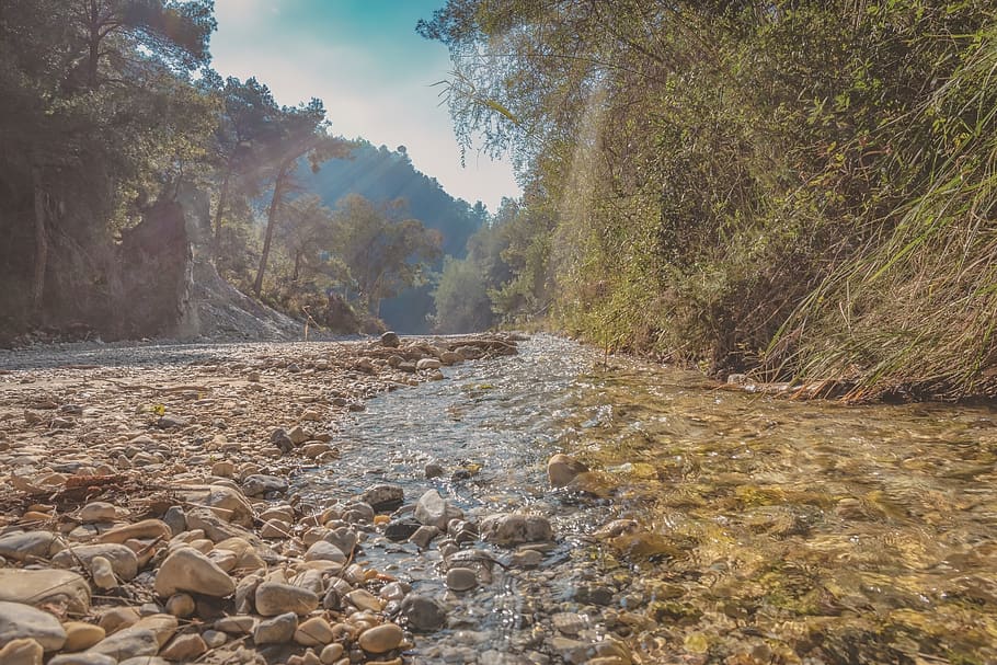river bed, sun rays, water, horizon, sunlight, mood, tree, plant HD wallpaper