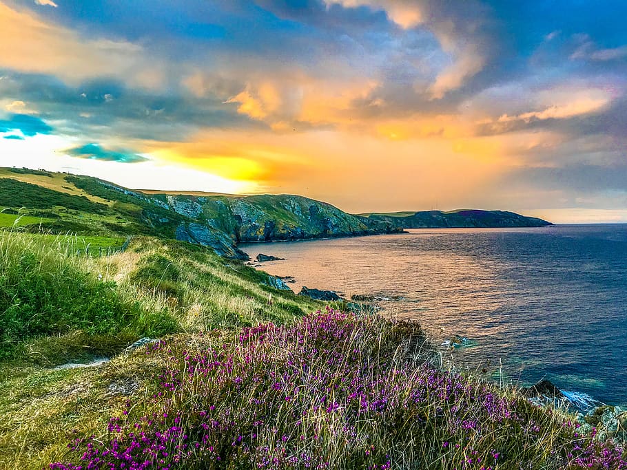 isle of man, port grenaugh, hills, sunset, beauty, heather, HD wallpaper