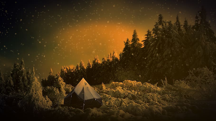 winter, landscape, snow, trees, snowflakes, wintry, idyllic HD wallpaper