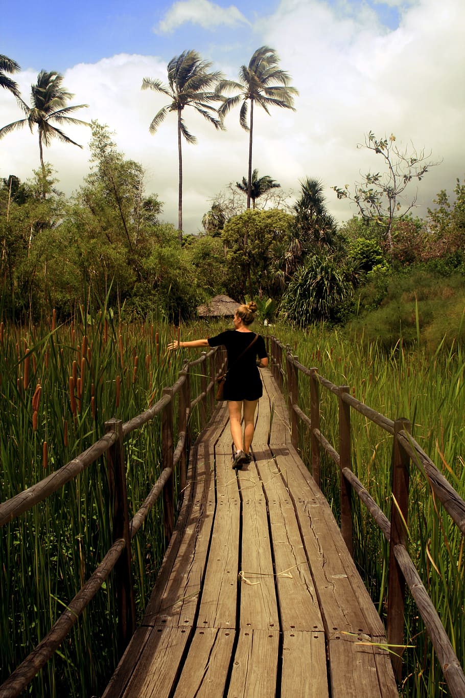 landscape, tree, nature, field, flower, walkway, jungle, crop HD wallpaper