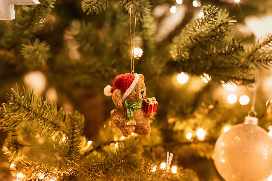christmas tree, bear, decoration, x-mas, xmas, christmas decorations, HD wallpaper
