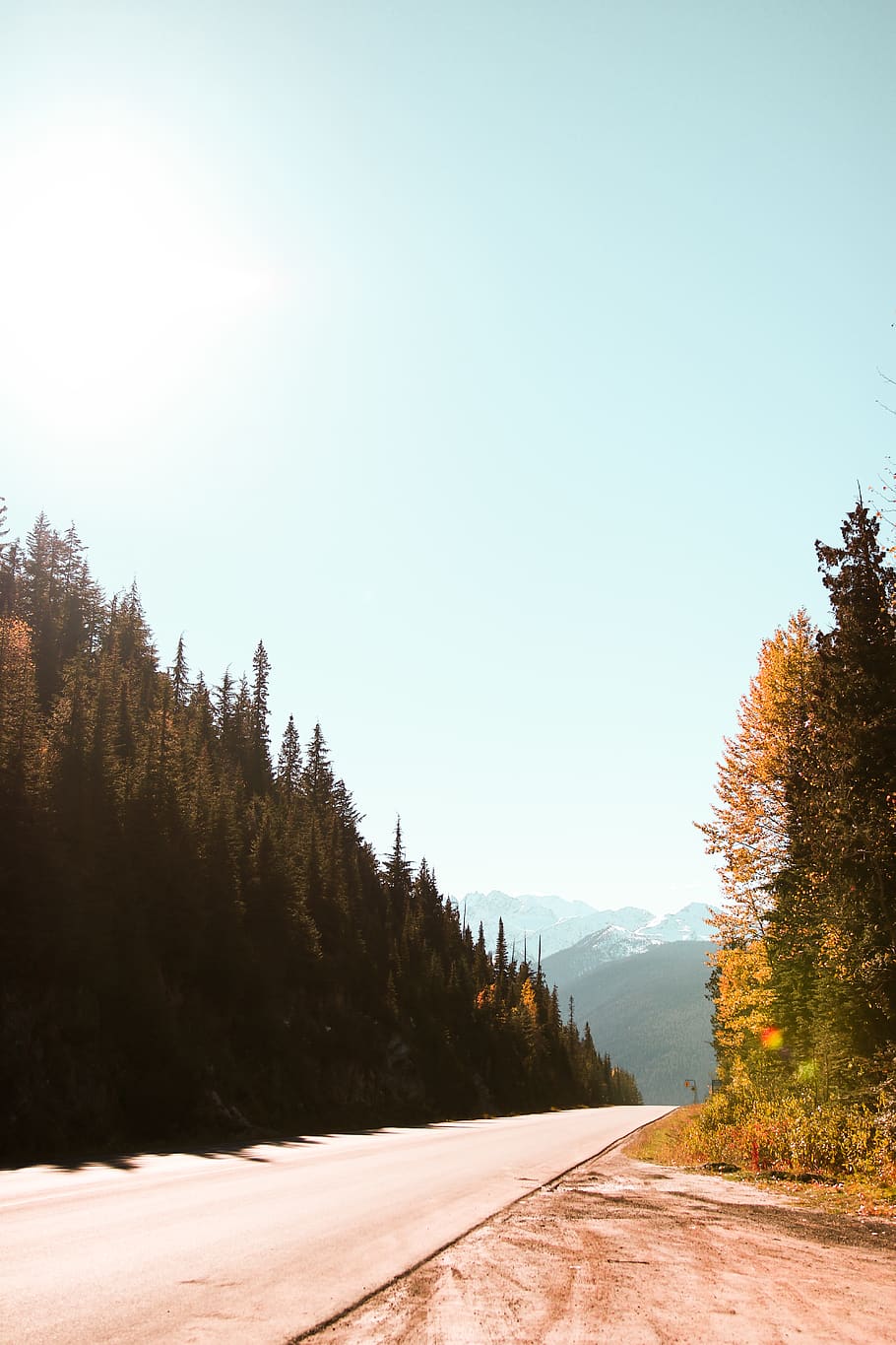 empty road beside trees, gravel, dirt road, banff, canada, nature HD wallpaper
