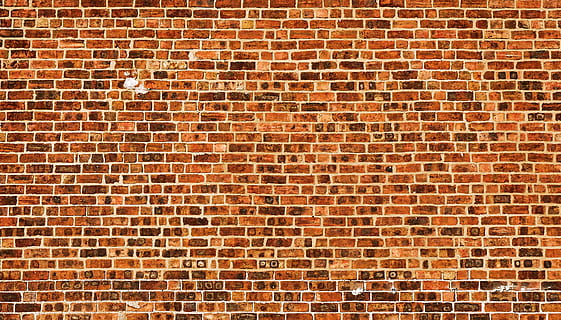 wall, brick, stone wall, texture, moss, plant, velvet, asphalt HD wallpaper