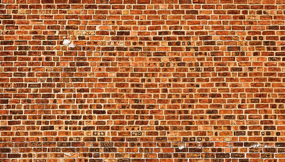 wall, brick, stone wall, texture, moss, plant, velvet, asphalt HD wallpaper
