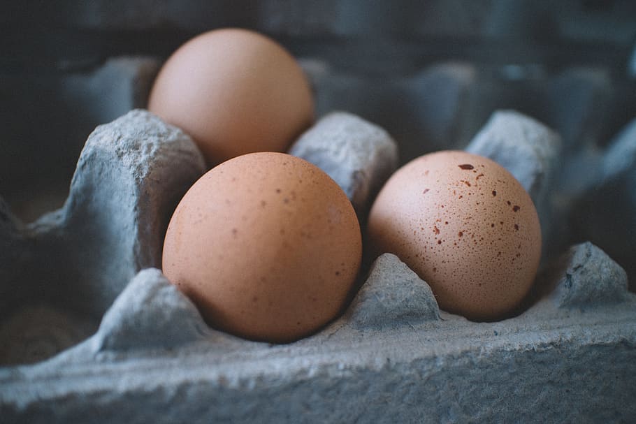 Selective Focus Photo of Three Eggs on Tray, chicken eggs, close-up HD wallpaper