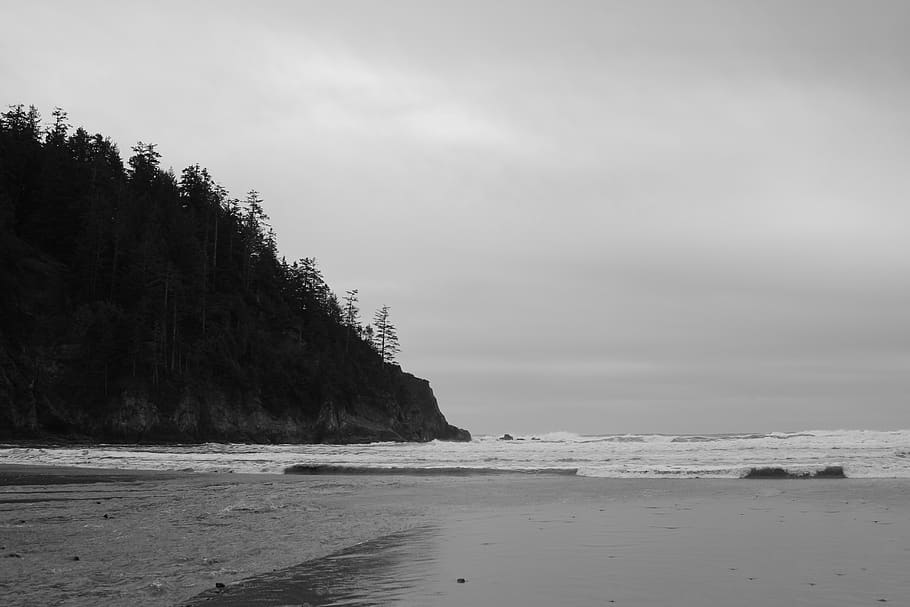 united states, cannon beach, ocean, forest, water, salty air