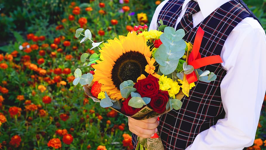 Person Holding Yellow Sunflower Bouquet, bloom, blooming, blur HD wallpaper
