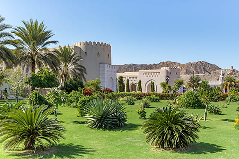 palace, sultan, oman, plant, tree, built structure, palm tree HD wallpaper