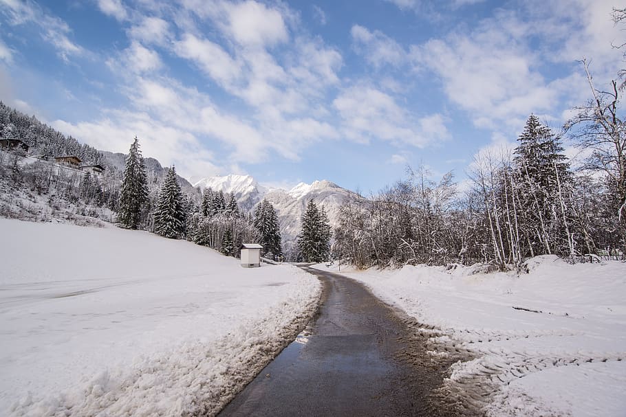 Pavement Road Surrounded by Snow and Pine Trees, asphalt, austria HD wallpaper