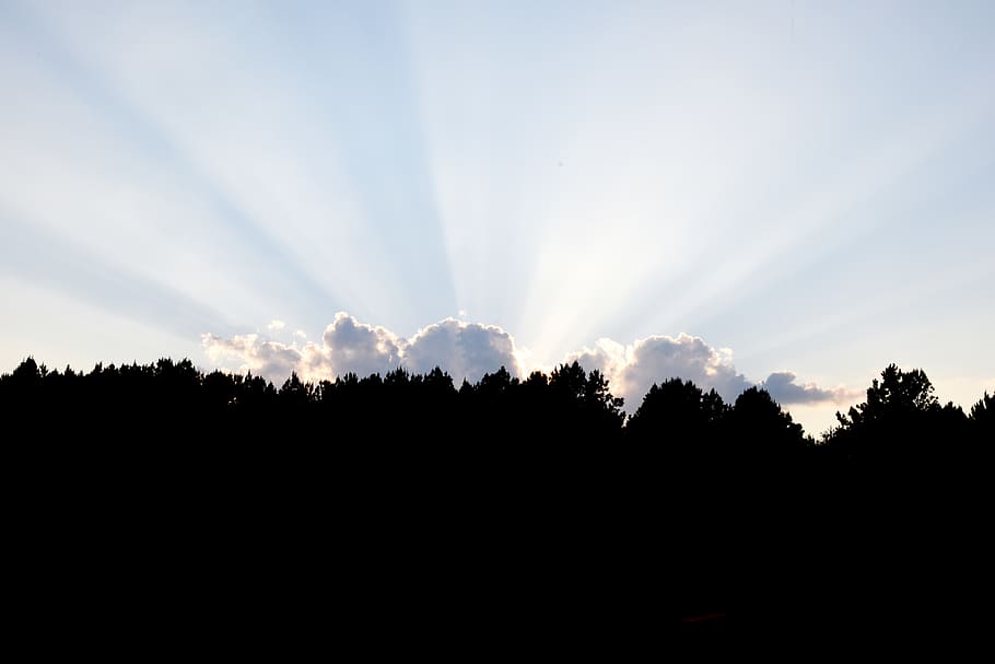 contrast, light, dark, clouds, horizon, sun, sky, silhouette HD wallpaper