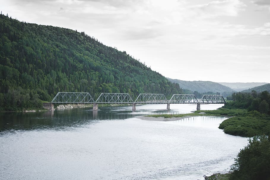 canada, trees, forest, bridge, green, nature, rain, clouds HD wallpaper