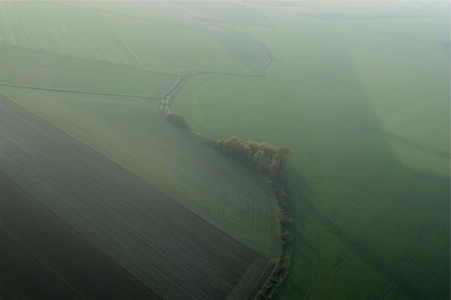 landscape, green, grass, fields, trees, nature, environment HD wallpaper
