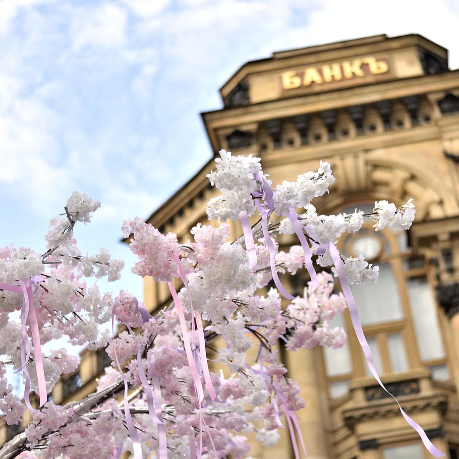 White Petal Flower Tree, architecture, blur, building, clouds HD wallpaper