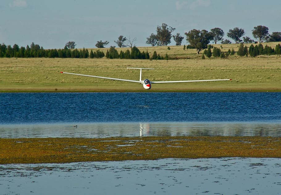 glider, reflection, lake, sailplane, gliding, water, plant HD wallpaper