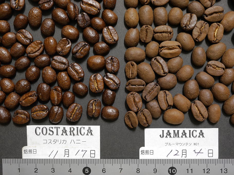 food and drink, coffee beans, blue mountains, jamaica, costarica, HD wallpaper