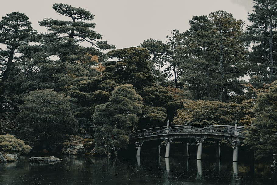 outdoors, plant, tree, abies, fir, kyoto, building, oriental HD wallpaper