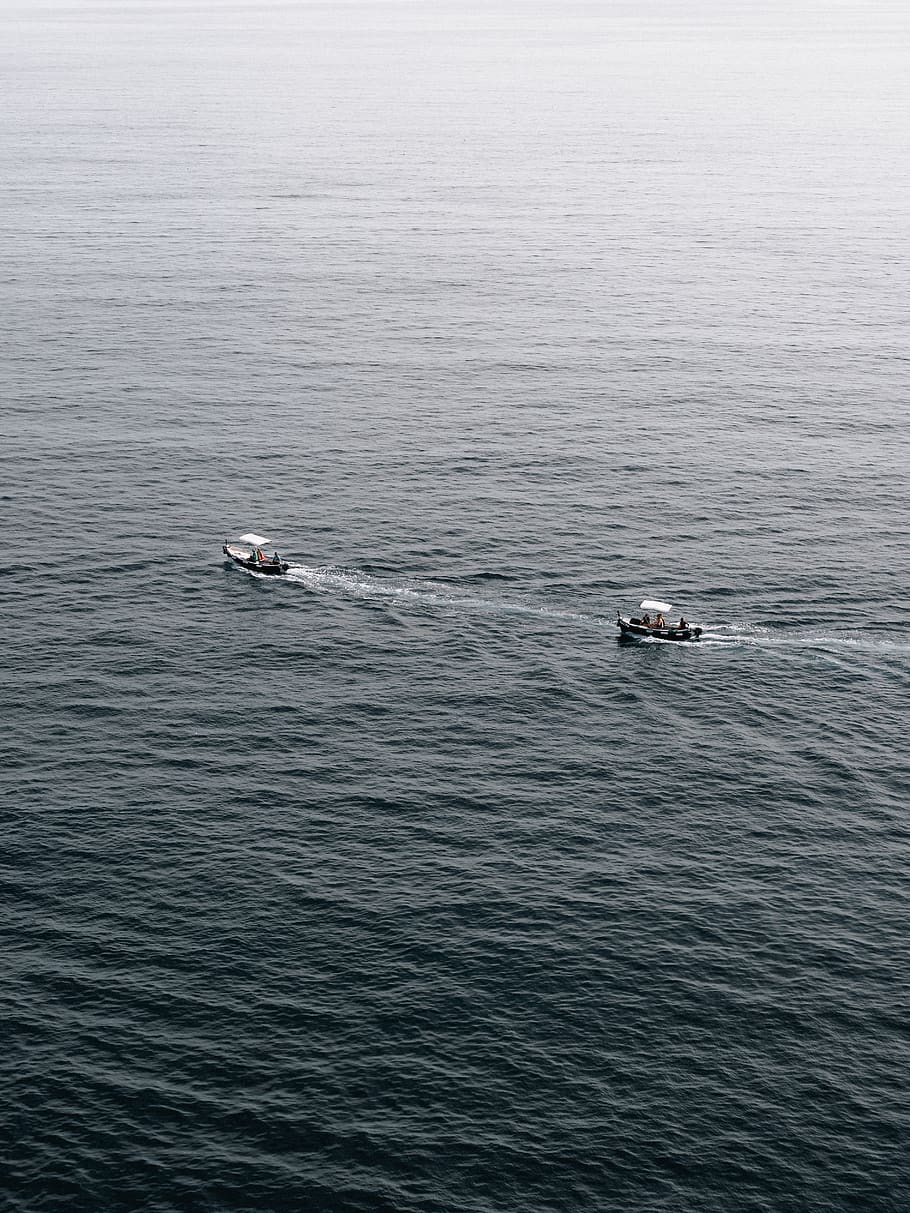 two boats on ocean, water, sea, waterfront, animal themes, animals in the wild HD wallpaper