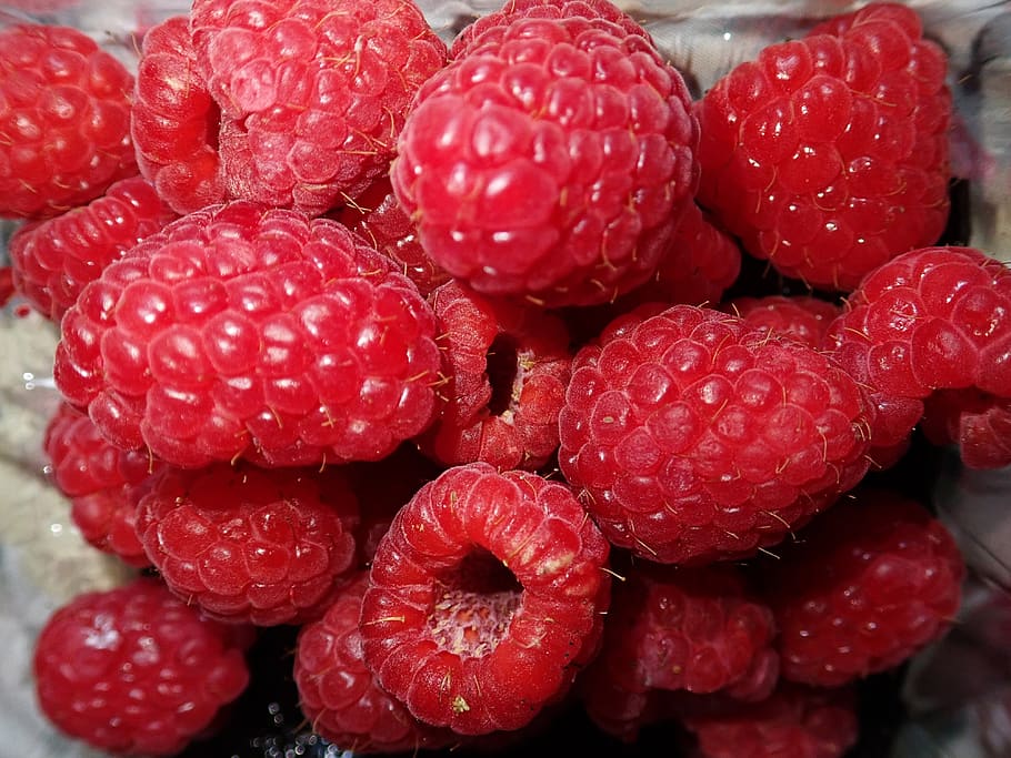 raspberries, fruit, fresh, summer, healthy, garden, red, berry fruit HD wallpaper