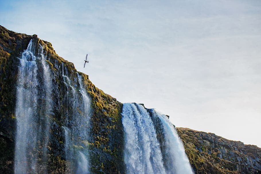 waterfalls during daytime, nature, outdoors, river, selijandfoss HD wallpaper