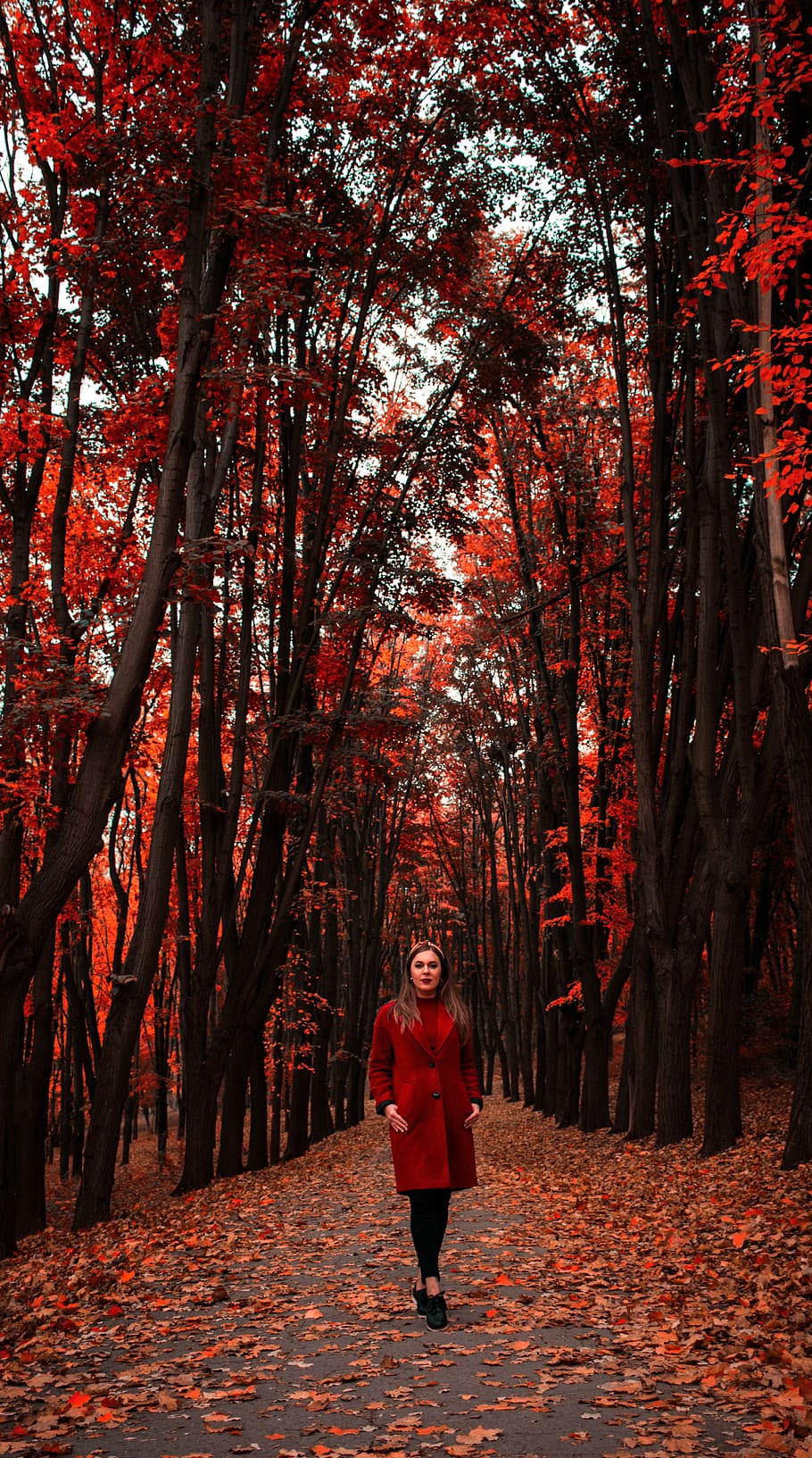 tree, one person, plant, real people, lifestyles, leisure activity HD wallpaper
