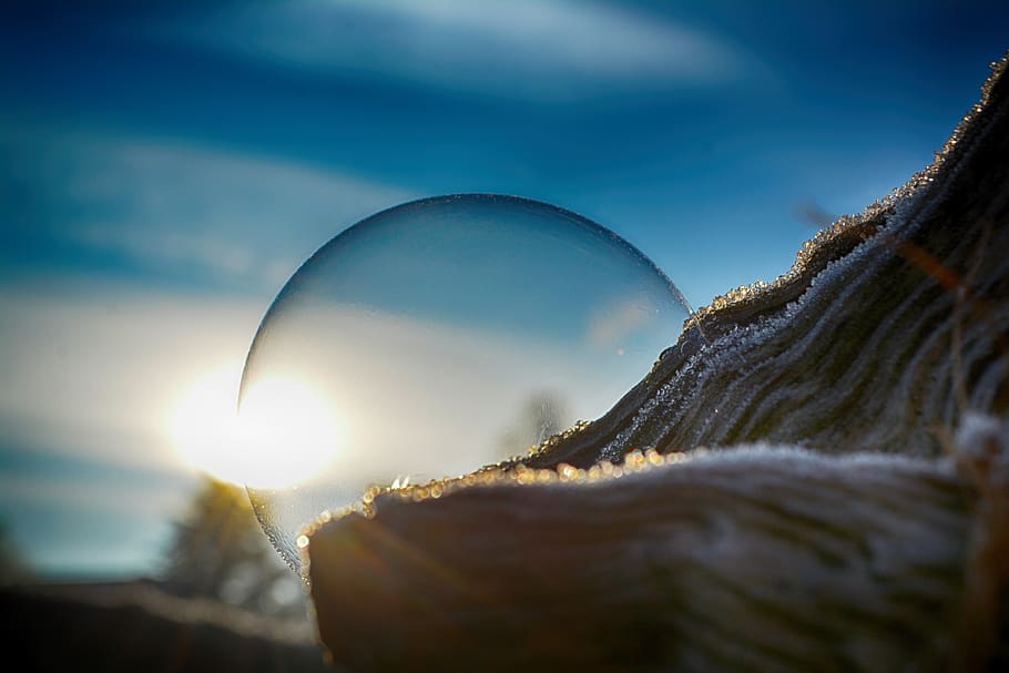 soap bubble, sun, tree, log, portrait, close up, blue sky, sunrise HD wallpaper